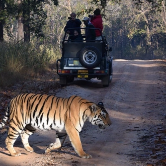 tourhub | Alkof Holidays | Central India Wildlife Tour 