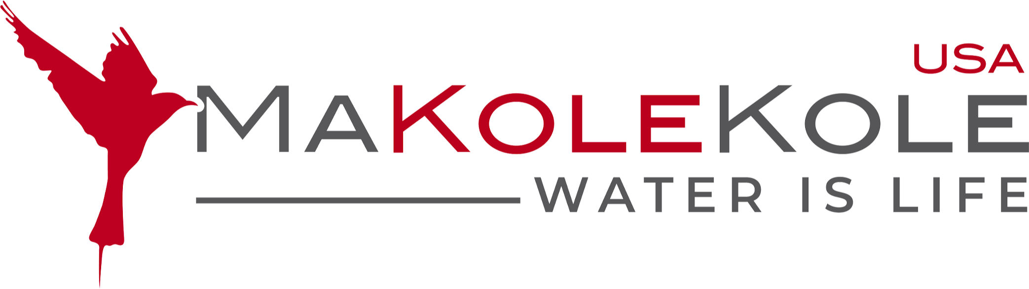 Makolekole Usa Inc logo