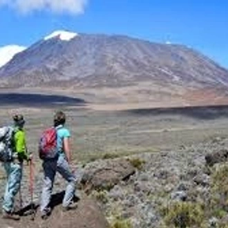 tourhub | Spider Tours And Safaris | 8 Days Kilimanjaro Climb Northern Circuit Route 