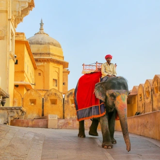 tourhub | UncleSam Holidays | Rajasthan Tour from New Delhi 