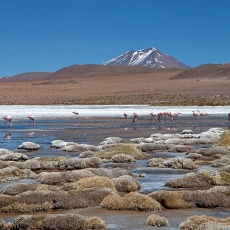 tourhub | Signature DMC | 6-Days Discovering 2 of the World's Largest Salt Flats, Atacama & Uyuni  