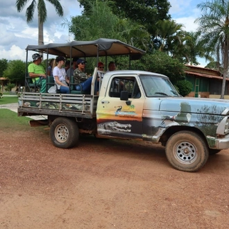 tourhub | Etours Brazil | Northern Pantanal round trip: Chapada dos Guimarães - Nobres - Pantanal - Jaguar safari 