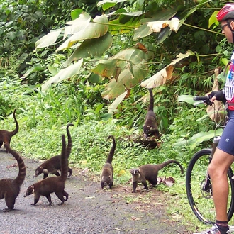 tourhub | Exodus Adventure Travels | Costa Rica Coast to Coast Ride 