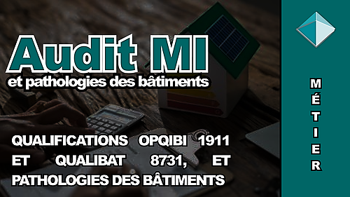 Représentation de la formation : Audit MI 1911/8731