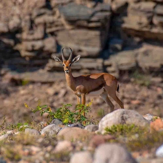 tourhub | YellowWood Adventures | Oman Hiking Adventure 