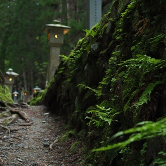 tourhub | Intrepid Travel | Japan: Koya-san & Kumano Kodo Trek 