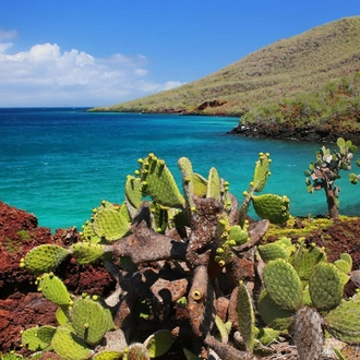 tourhub | Latin Trails | Galapagos West, Central, North & Southern Islands Cruise 