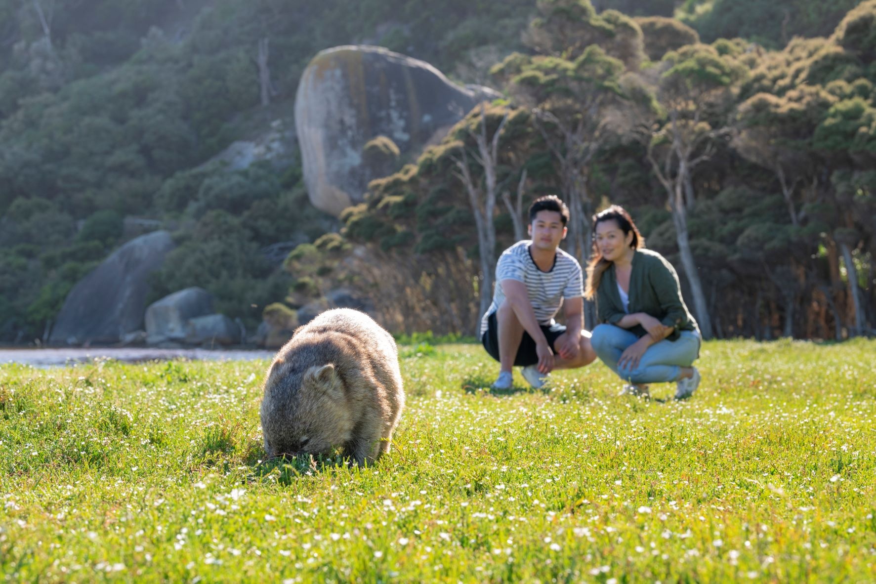 1-Day Tour to Appreciate Breathtaking Coastal Landscapes and Meet Untouched Wilderness in Wilson's Promontory 