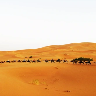 tourhub | Escorted Morocco Tours | 3 Days Morocco Sahara Desert Tour from Marrakech 