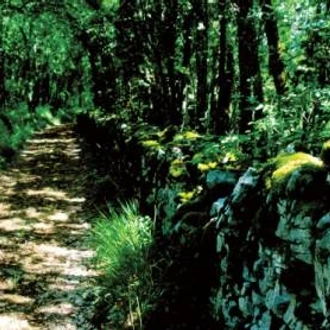 tourhub | Walkers' Britain | Hidden Treasures of the Dordogne - 10 Days 