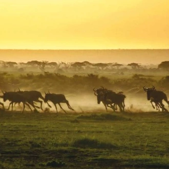 tourhub | World Expeditions | Mount Kenya Ascent 