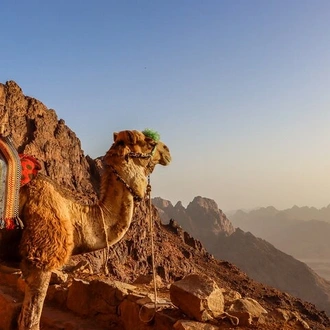 tourhub | Sun Pyramids Tours | From Cairo - Overnight To St Catherine Monastery and Mount Sinai. 