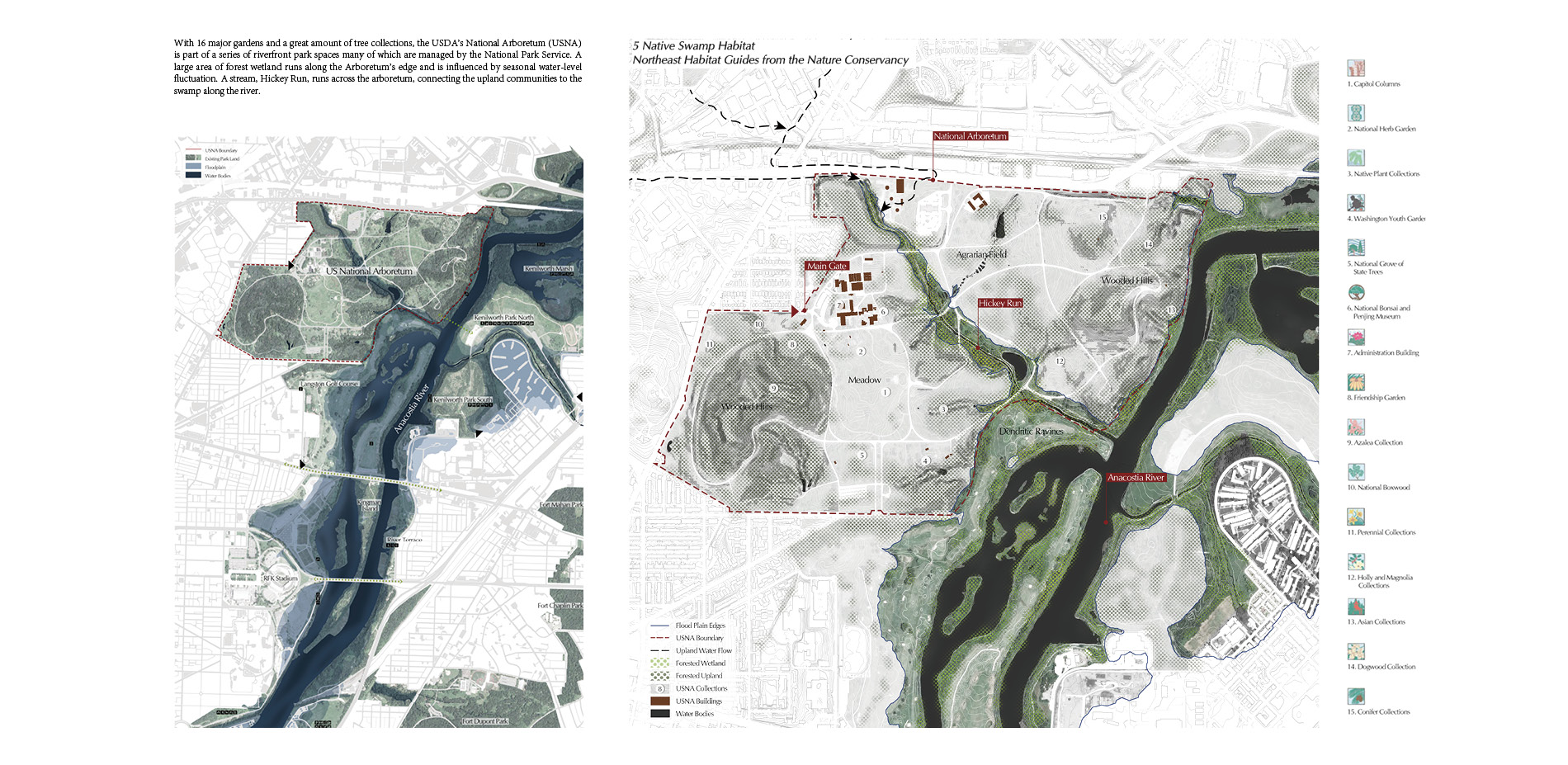 Continuous Park Space and Specific Riverfront Biotope