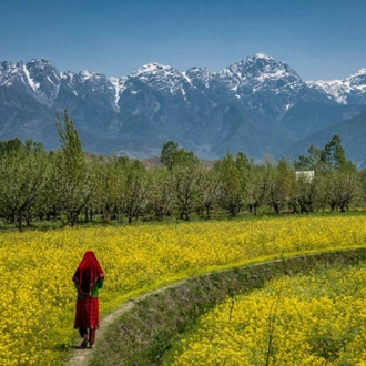 tourhub | Panda Experiences | Amazing Kashmir 