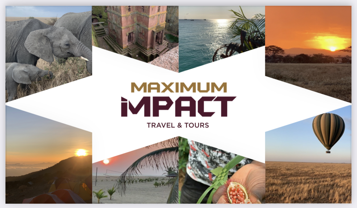 maximum impact travel reviews