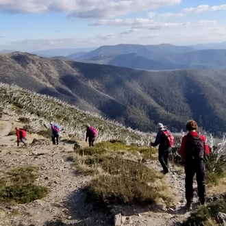 tourhub | Intrepid Travel | Walk Victoria's High Country 