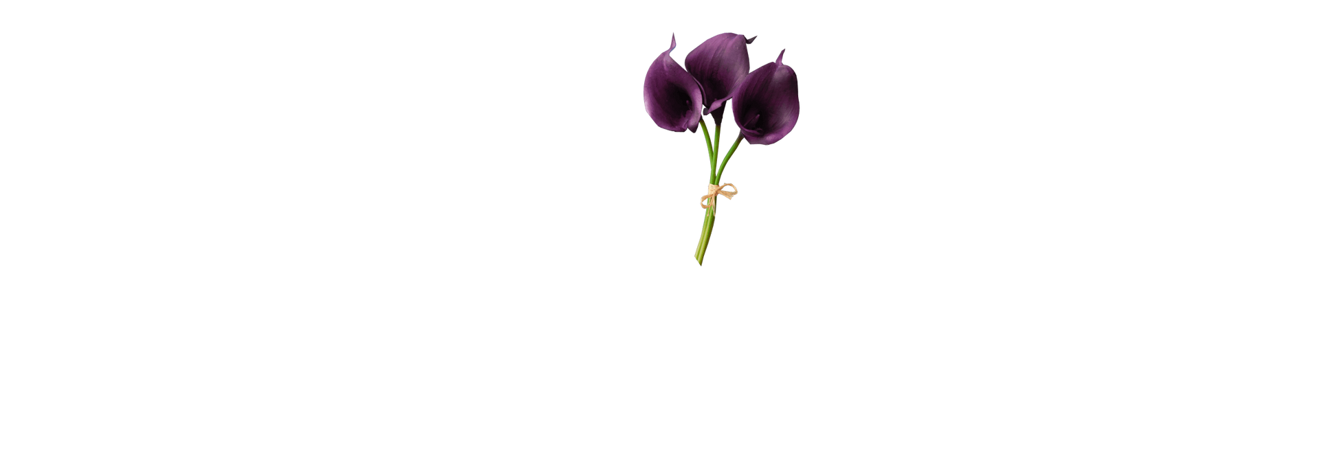 Anderson-TeBeest Funeral Home Logo