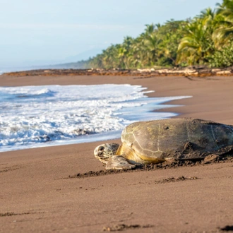 tourhub | Exodus Adventure Travels | Costa Rica's Coastal Secrets 