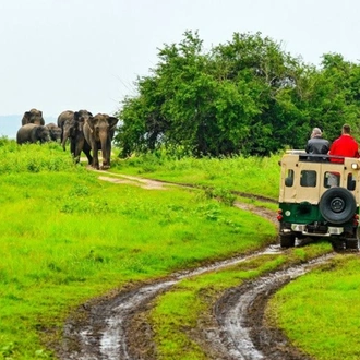 tourhub | Today Voyages | Highlights of Sri Lanka SL/001/E 