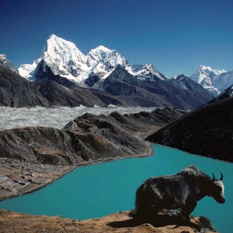 tourhub | Adventure Himalayan Travels & Treks | Everest Base Camp and Gokyo Trek with Cho la pass-18 day 