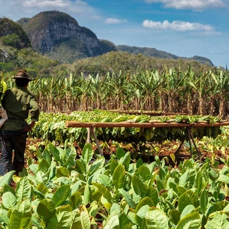 tourhub | Explore! | The Best of Western Cuba 