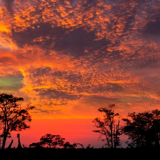 tourhub | Exodus Adventure Travels | Namibia & Botswana: Dunes & Delta 