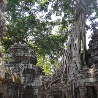 tourhub | Bamba Travel | Angkor Wat & Local Life Experience 3D/2N 