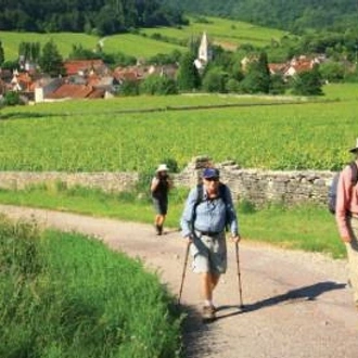 tourhub | Walkers' Britain | Burgundy Vineyard Trails 