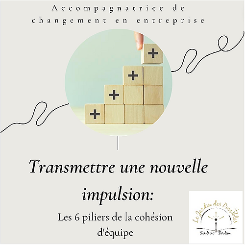 Représentation de la formation : ST.Les 6 piliers de la cohésion d'équipe