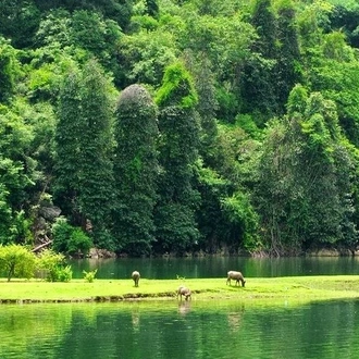 tourhub | Mr Linh's Adventures | Kayaking On Ba Be Lake 2 Days 1 Night 