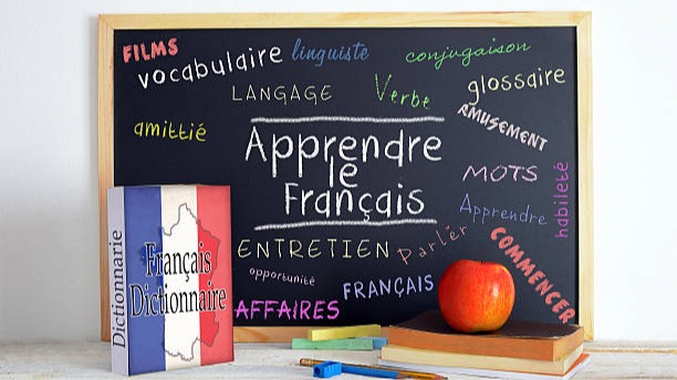 Représentation de la formation :  Préparation au test d'évaluation en Français (TEF Niveau B1)