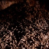 Telouet Salt Mines, Interior, Salt Rocks (Telouet, Morocco, 2010)