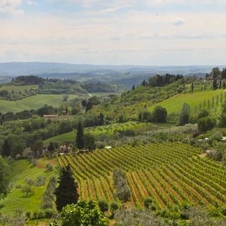 tourhub | G Adventures | Italy: Tuscany and Umbria Vineyard Walks 