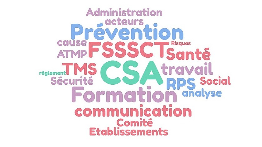 Représentation de la formation : 6-3-1 Formation des membres du CSA et de la F3SCT