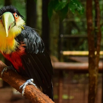 tourhub | Private Tours | Iguazu Falls Discovering Their Incredible Waterfalls 02 Days & 01 Night 