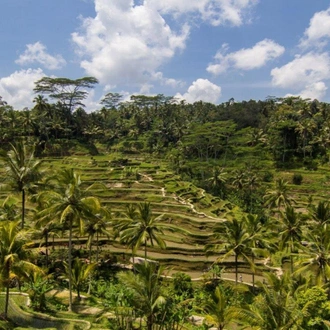 tourhub | Today Voyages | Enchanting of Bali, Private Tour 