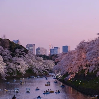 tourhub | Indus Travels | Magic of Japan 