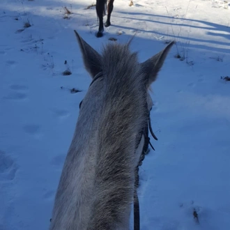 tourhub | Visit Bulgaria On | Private 2-Day Horseback Riding in Rhodope Mountains from Plovdiv 