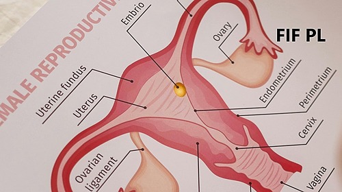 Représentation de la formation : Raisonnement clinique en pelvi-périnéologie chez la femme