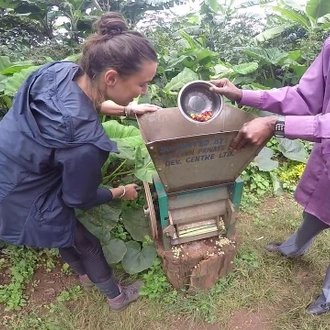 tourhub | Trek Rwenzori Tours | Uganda Greatest Hit Safari 