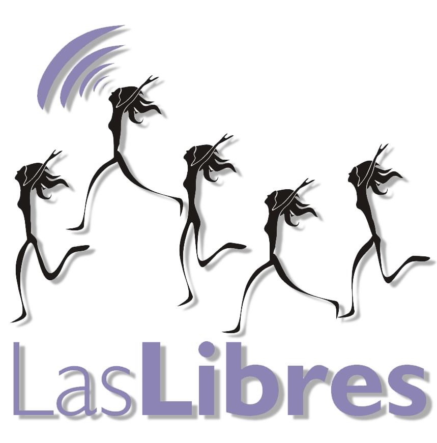 Centro Las Libres de Información en Salud Sexual Región Centro A.C. logo