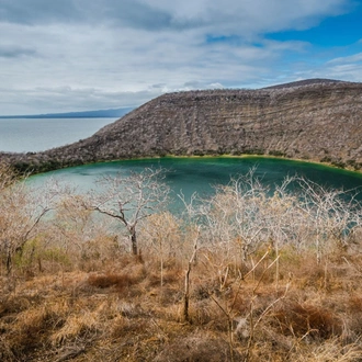 tourhub | Latin Trails | Galapagos West, Central, North & Southern Islands Cruise 