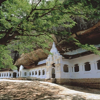 tourhub | Aitken Spence Travels | The Pick of Sri Lanka - Free Upgrade to Private Tour Available 