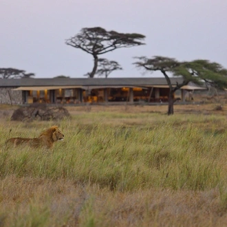 tourhub | Wildlife Dreams | Wildlife Dreams at Namiri Plains 