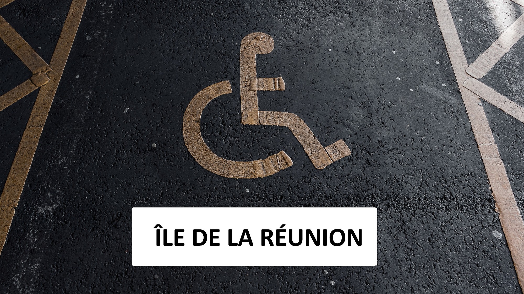 Représentation de la formation : CCS Handicap - ÎLE DE LA RÉUNION