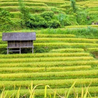 tourhub | On The Go Tours | Vietnam Explorer For Teenagers - 12 days 