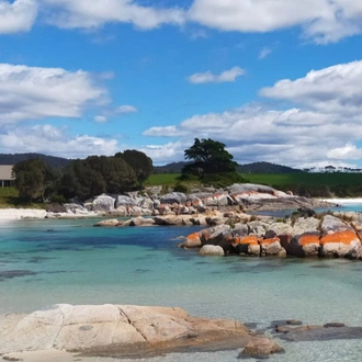 tourhub | Intrepid Travel | Walk Tasmania's Bay of Fires 