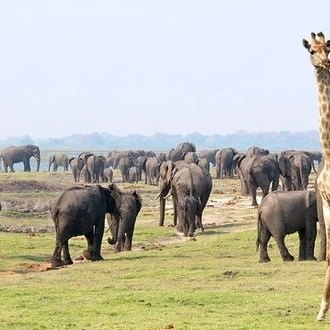 tourhub | Timeline Travel | Victoria Falls, Chobe, Kruger and Cape Town 