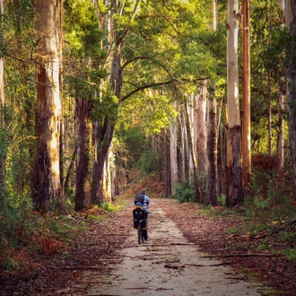 tourhub | Authentic Trails | Porto to Lisbon self-guided - Food and Wine Lovers 