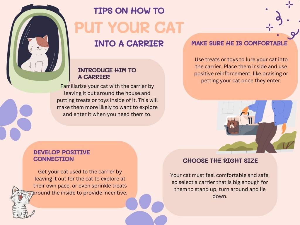 Tips on how to put your cat into a carrier
